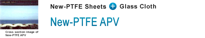 New-PTFE APV